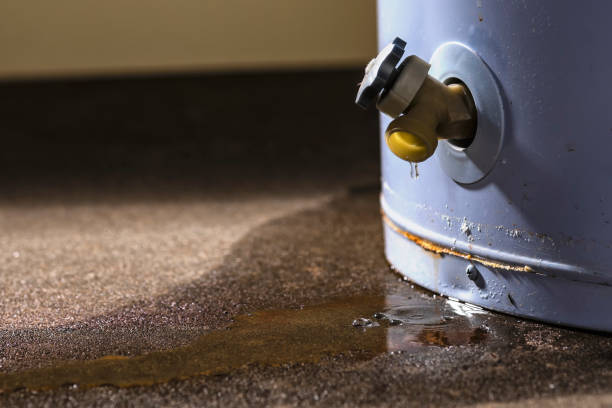 Local water damage restoration in West Yellowstone, MT