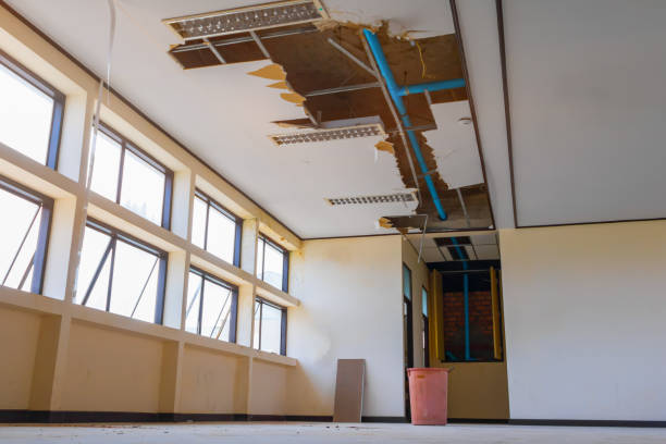 Best Water damage contractors near me  in West Yellowstone, MT