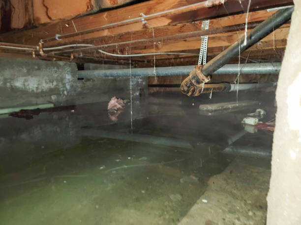Best Ceiling water damage repair  in West Yellowstone, MT