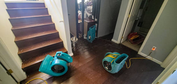 Best Water damage restoration near me  in West Yellowstone, MT