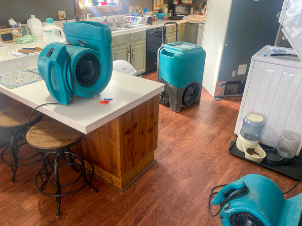 Best Flood damage cleanup  in West Yellowstone, MT