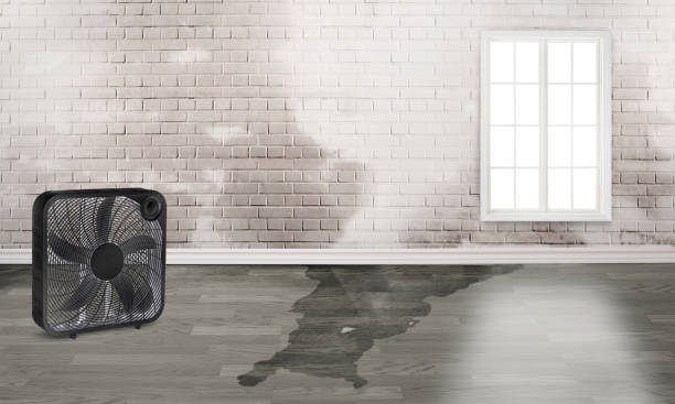 Best 24/7 water damage repair  in West Yellowstone, MT