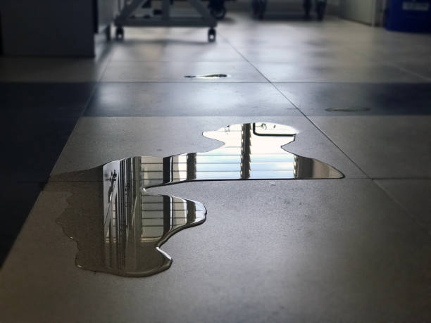 Best Water damage mitigation services  in West Yellowstone, MT
